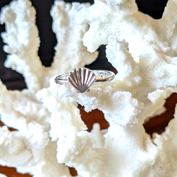 Sterling silver shell ring - Picture 8 of 8